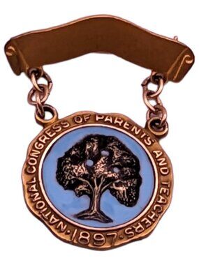 Vintage National Congress Of Parents & Teachers Lapel Pin Badge Not Engraved